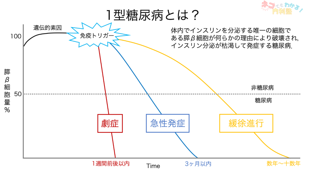 四肢発症型 ALS の見通しはどのようなものですか?
